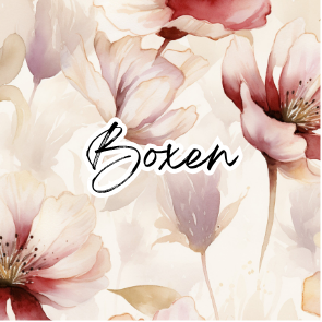 Boxen