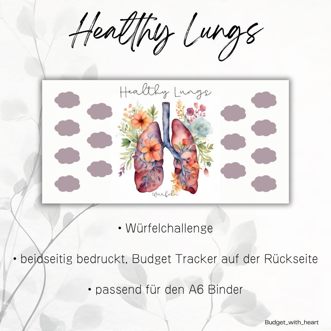 Healthy Organs Sparchallenges, Sparchallenge, Budgeting, passend für A6 Binder