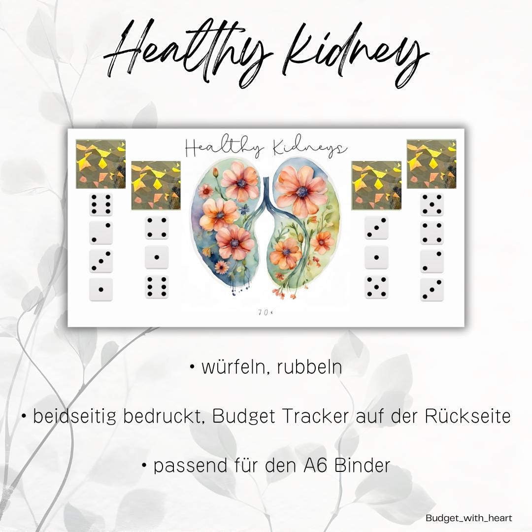 Healthy Organs Sparchallenges, Sparchallenge, Budgeting, passend für A6 Binder