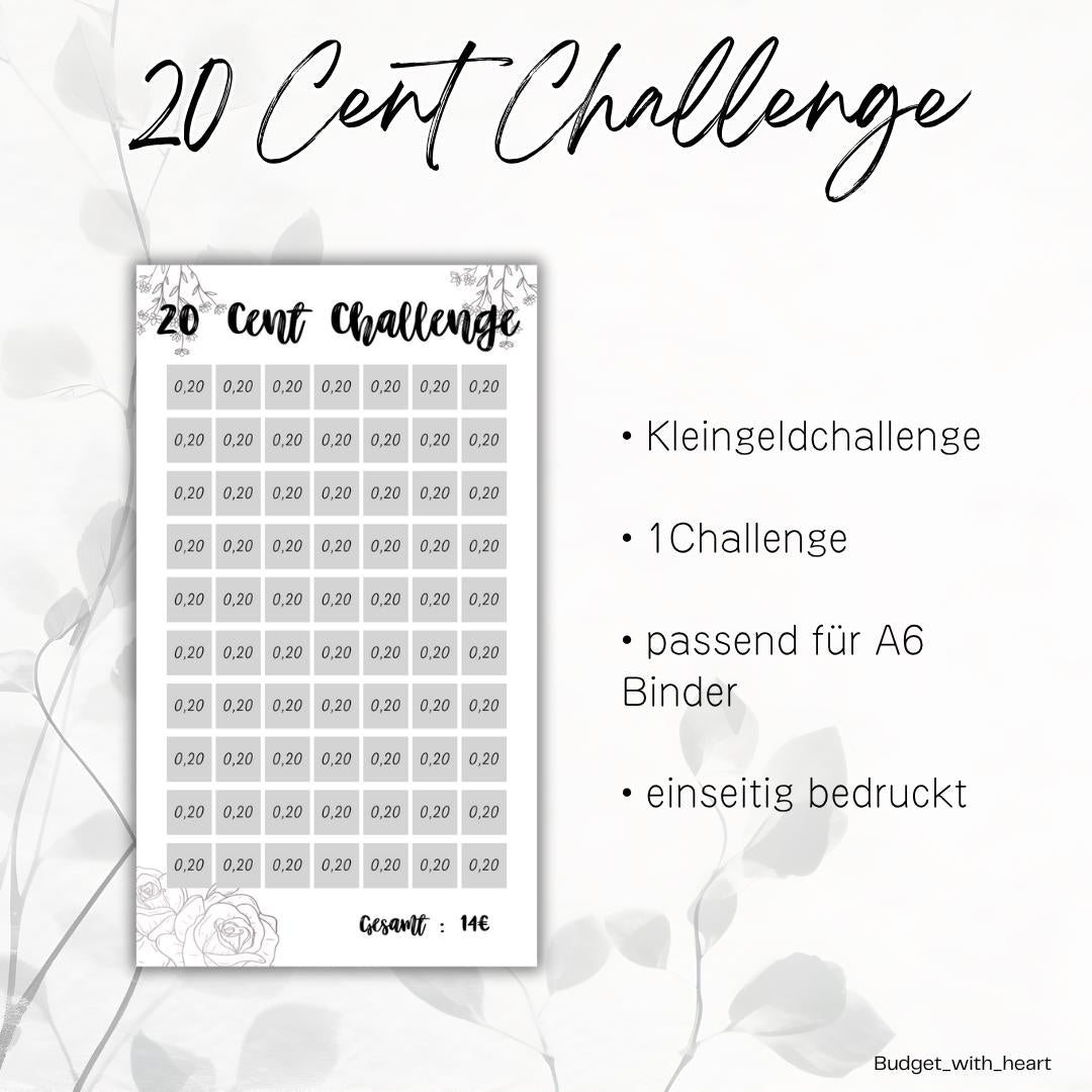 10 Cent, 20 Cent, 50 Cent, 1 Euro, 2 Euro Challenge, Kleingeld Challenge