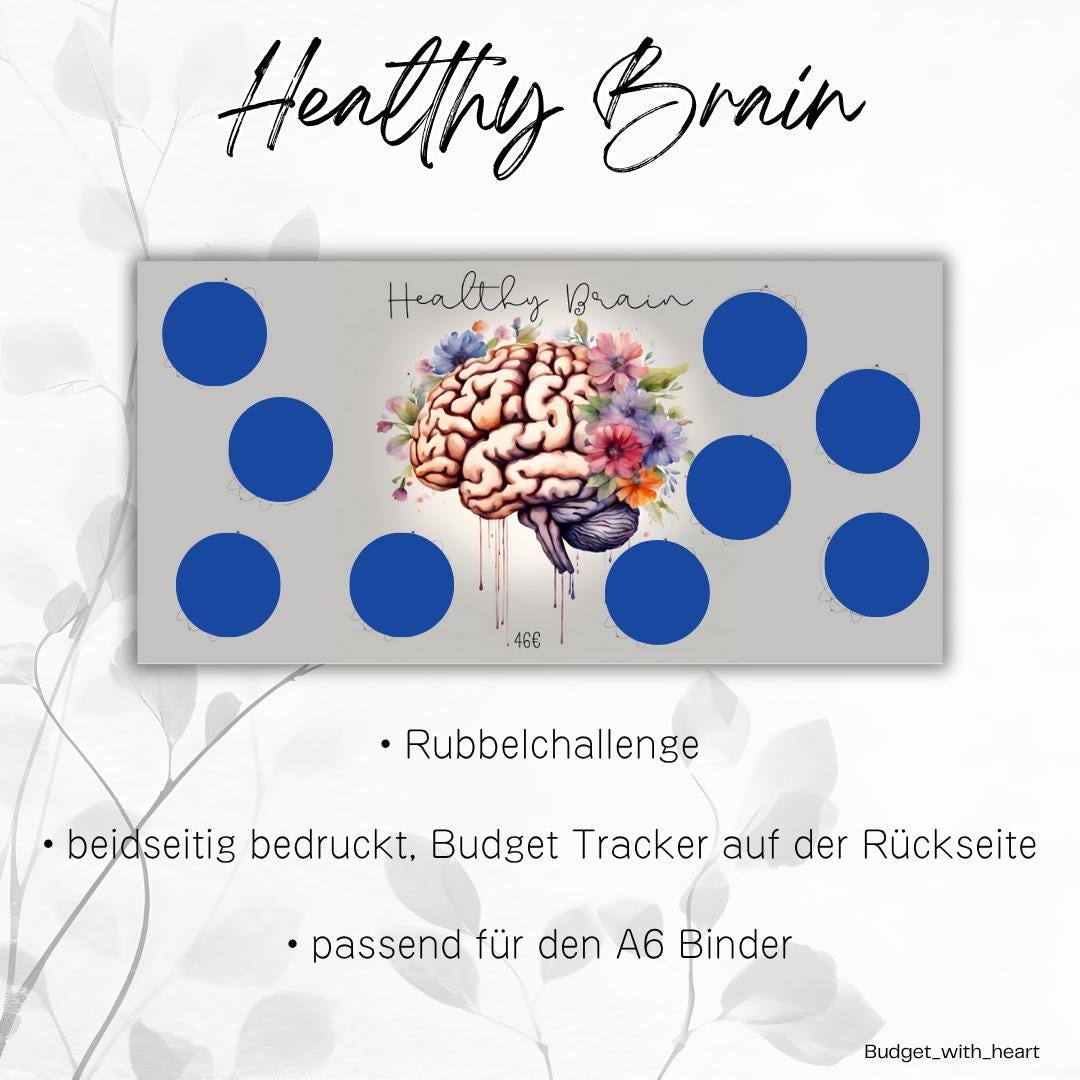 Healthy Organs Sparchallenges, Sparchallenge, Budgeting, passend für A6 Binder